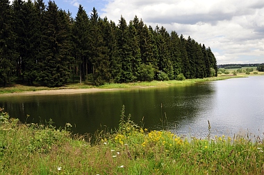 Pixhaier Teich (2) Buntenbock Oberharzer Wasserwirtschaft Bilder